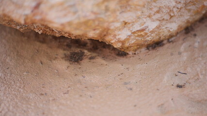 sliced bread on a wooden board