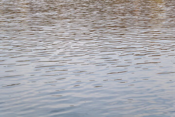 Water surface - Lake background texture - Water Waves Surface