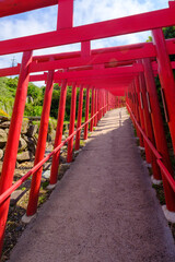 The red torri path at Motonosumi Inari Shrine