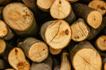 Fototapeta premium Wood texture detail selective focus. Stack of firewood. Pile of wood logs stored for winter. Wall of woods. Wooden background. Storage of dry chopped firewood. Preparattion for heating in countryside.