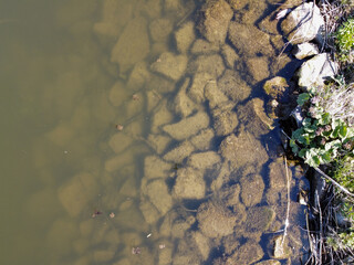 Bank of a river in Bavaria 