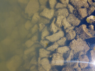 Bank of a river in Bavaria Photographed in detail