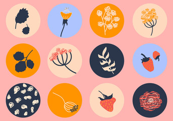 Vector rounds for social media stories for bloggers. Set of templates for networks Story Highlights Covers Icons. Abstract berries, strawberry, branches and flowers.