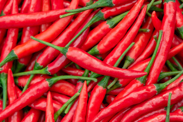 Fresh red chili pepper background.