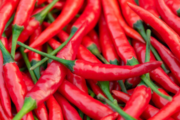 Fresh red chili pepper background.