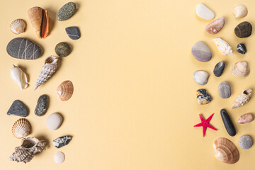 Background with a collection of seashells, stones and starfish