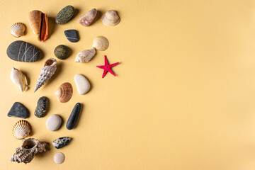 Background with a collection of seashells, stones and starfish