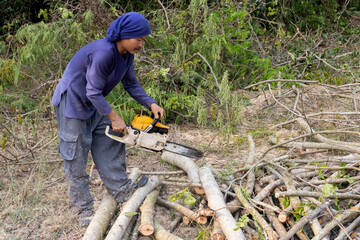 Lumberjack with chainsaw worker cutting tamarind tree trunk. Chainsaw cutting the branch.