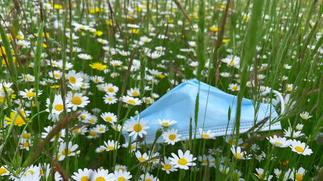 Mascarilla covid cae al suelo desechada como basura en la naturaleza del campo con flores de margaritas en primavera y una mano la recoge del suelo 4K
