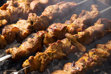 Appetizing large pieces of kebab cooked on the grill