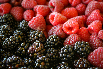 Raspberries and blackberries. Black and red. Raspberries vs blackberries. Raspberry. Blackberry. Fruits.