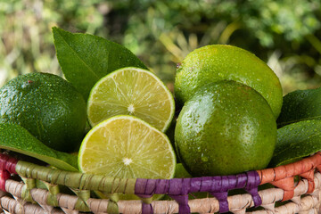 Green lemon fruit in basket with blurred green background