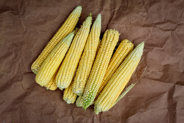 Background of corn on the cob. Post-harvest corn, peeled corn on a cob on brown paper. Freshly harvested corn.