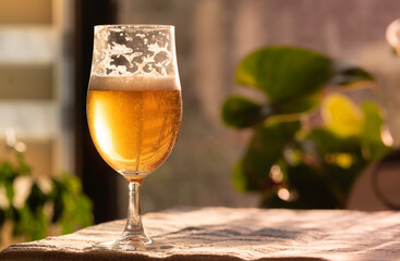 Delicious Beer in Glass