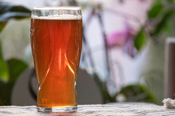 Delicious Beer in Glass