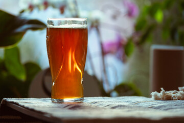 Delicious Beer in Glass