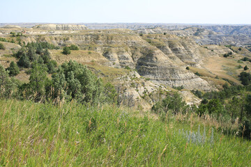 Fototapeta na wymiar Theodore Roosevelt National Park in North Dakota, USA, north unit