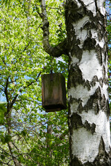Bird feeder on a tree.
