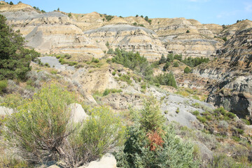 Theodore Roosevelt National Park in North Dakota, USA, north unit