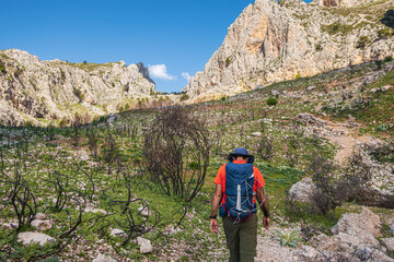 Hiker crestfallen walking up a mountain, with some remnants of forest fire.