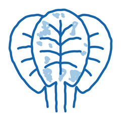 spinach leaves doodle icon hand drawn illustration