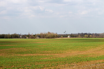 Fototapeta na wymiar autumn landscape with a field