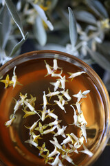 A cup of tea with sea buckthorn leaves. Flowers and branches of sea buckthorn. Tea with fresh sea buckthorn.