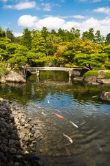 Fototapeta na wymiar Giant Koi carp Japanese fish pond lake water pool. Golden orange black gold white school of underwater fish. Kenrokuen, zen garden with bridge, Japan.