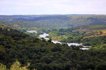 Fototapeta na wymiar rio Guadiana