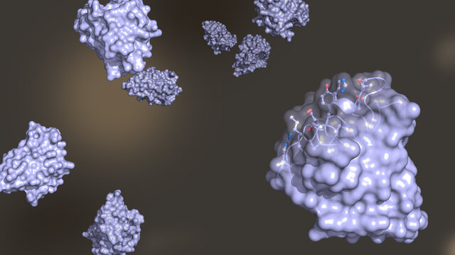 Single-domain antibodies or VHH domains in light purple against a dark background; single-domain immunoglobulin technology for healthcare applications