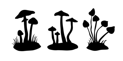 Set of three mushroom silhouettes. Amanita virosa, cortinarius rubellus and psilocybe semilanceata. Also known as destroying angel, deadly webcap and liberty cap.