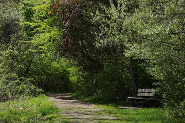 Park bench by a path entrance