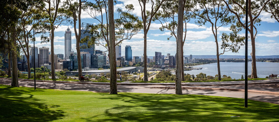 Panoramic view of lemon scented gum trees and Perth Central Business District from Kings Park,...