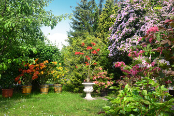 Obraz premium Garten 1160