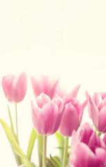 Flowers, spring holidays and home decor Bouquet of tulips