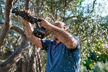 Defocused man prunes a tree in the garden with reciprocating saw. Selective focus on the sawdust. Garden cleaning in spring.