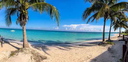 beach, palm, sea, tropical, island, sand, tree, ocean, paradise, sky, blue, travel, vacation, water, coconut, coast, landscape, nature, holiday, summer, caribbean, palm tree, beautiful, cuba, resort