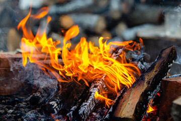 Flames of fire close up. Campfire in nature. A blurred chocks background.