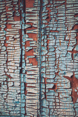 Fragment of a wooden door close-up. Old paint. Cracks in the old paint. Cracked paint on a wooden surface. The texture of the cracks. The texture of the old wood. Grunge texture. Blue background