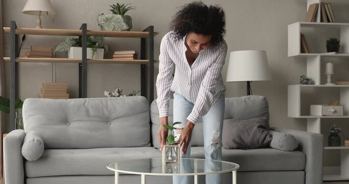 African woman puts houseplant on coffee table relax on sofa with cellphone. Happy homeowner or renter improve accommodation, decorate living room sit on comfy couch and resting. Moving, tenant concept