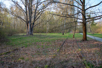 Obraz premium Landscape in Nature park Schoneberger Sudgelande in Schoneberg Berlin Germany