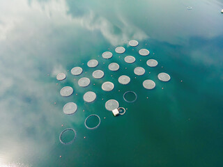 Aerial top down view over a fish farm with lots of fish enclosures on cages. fish farm aquaculture and industry