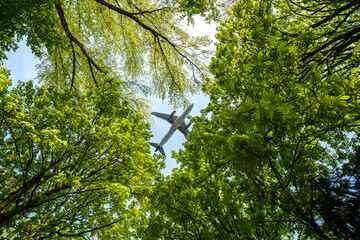 Branches with green leaves against the sky background with plane