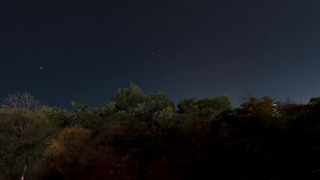 Clear Night and Time Lapse of Stars with Orion's Nebula Visible from a Forest in Gujarat, India