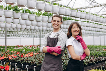 Male and female florists, wearing apron and gloves, smiling and looking at camera, while working in greenhouse, garden centre.
