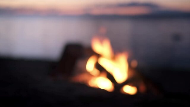 4k Bonfire burning down in the forest autumn, flame sticks and coals in fire close up on sand beach in the evening night.