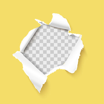 Torn paper hole with paper curl and ripped edges over transparent background realistic vector illustration