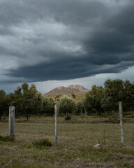 Fototapeta premium fence
