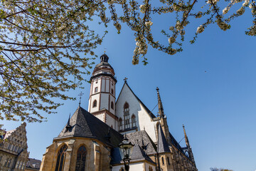 Leipzig, Saxony, Germany, 04-28-2021 Cherry blossom in front of the famous St. Thomas Church