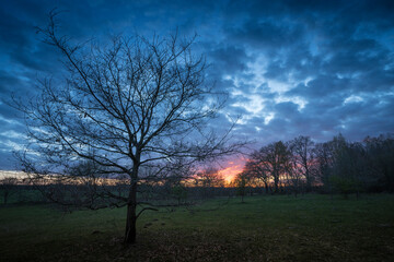 Fototapeta na wymiar sunset in a rural landscape